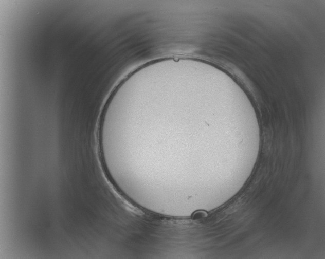 X0000073871432200609071647