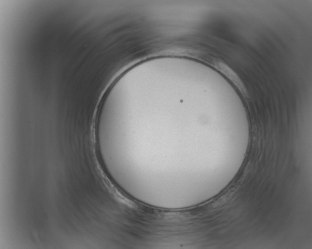 X0000073871436200609071647