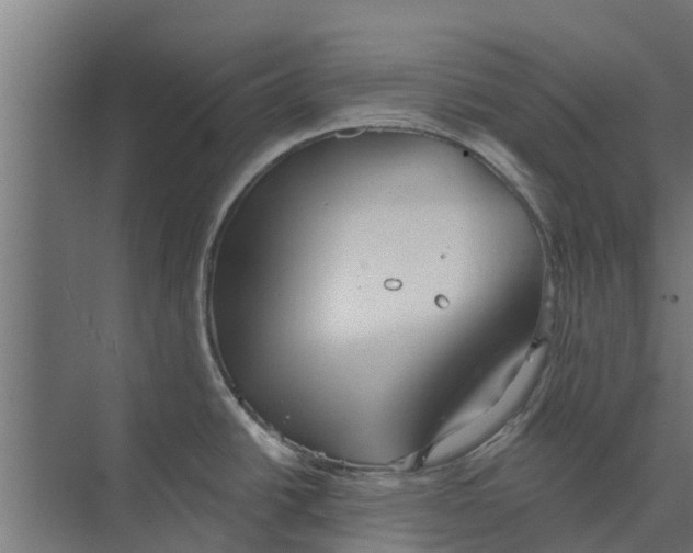 X0000073871438200609071647