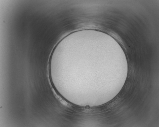 X0000073871439200609071647