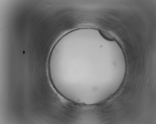 X0000073871440200609071647