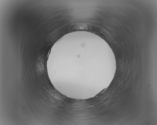 X0000073871442200609071647