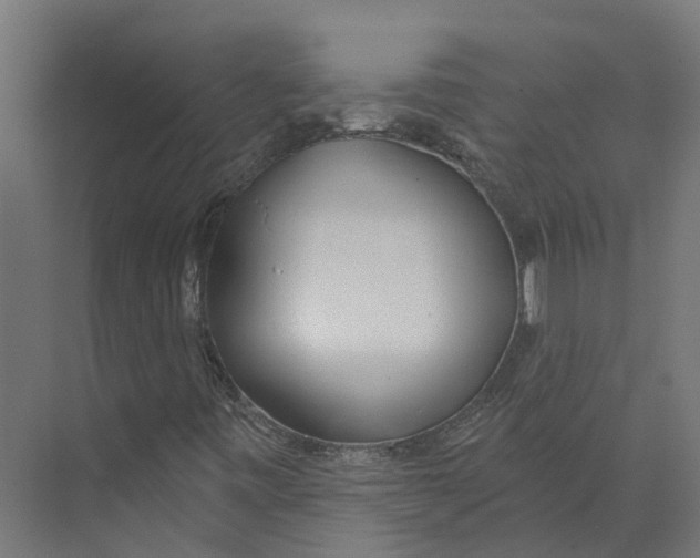 X0000073871443200609071647