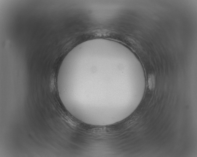 X0000073871444200609071647