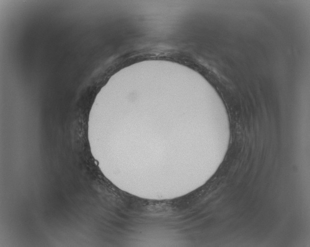 X0000073871447200609071647