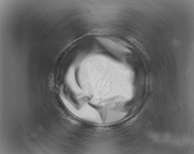 X0000073871449200609071647