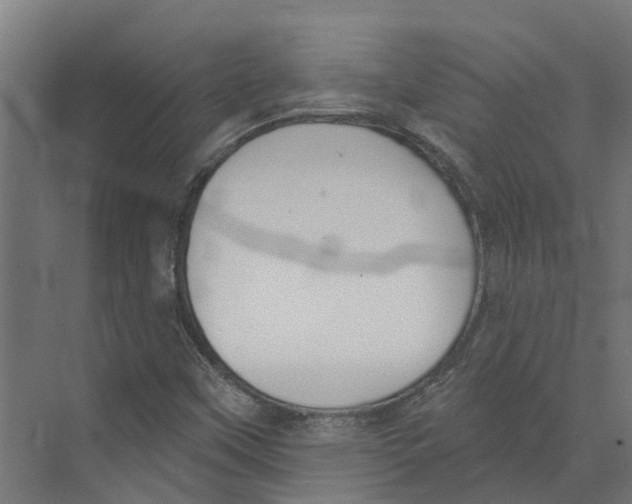 X0000073871451200609071646