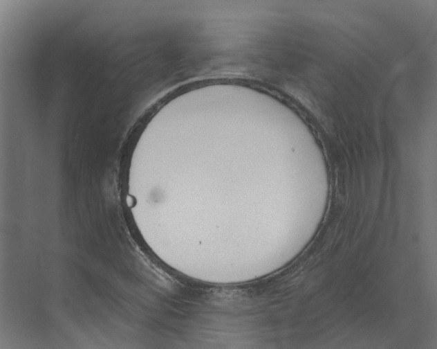 X0000073871452200609071646