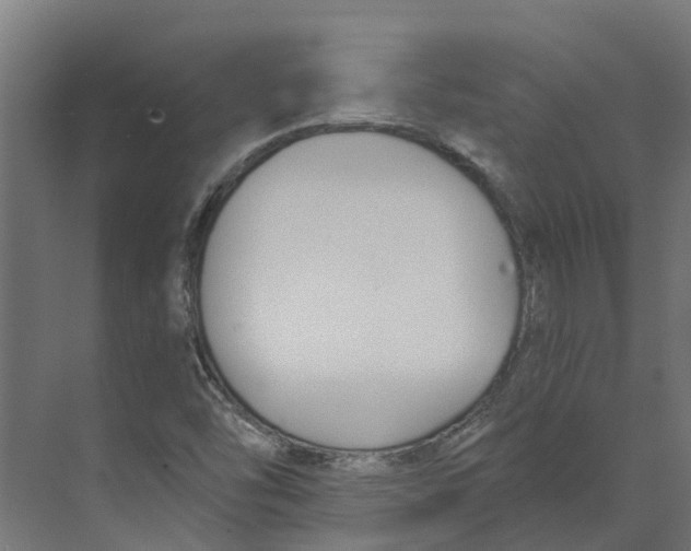 X0000073871454200609071646