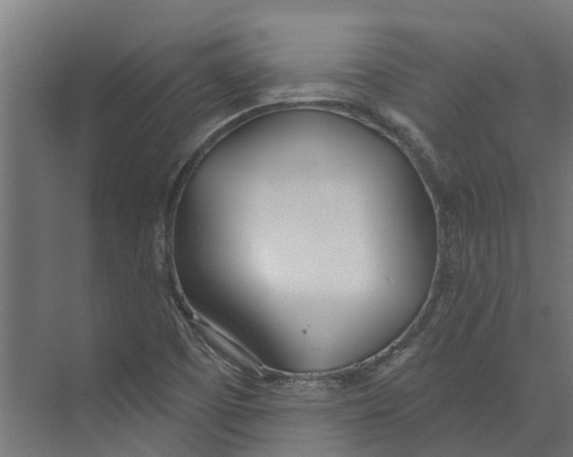 X0000073871457200609071646