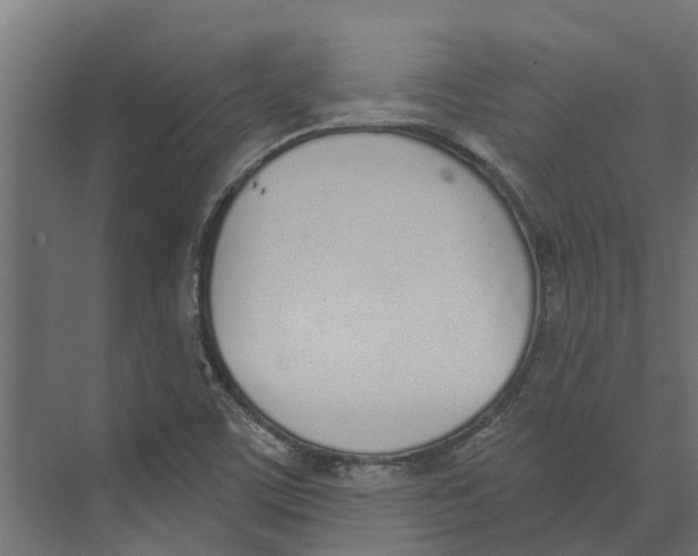 X0000073871459200609071646