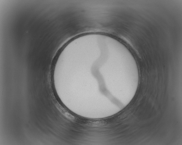 X0000073871460200609071646