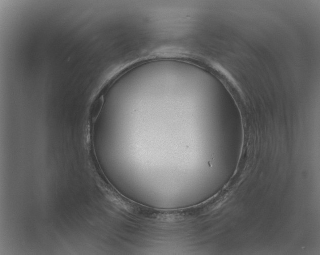 X0000073871461200609071646