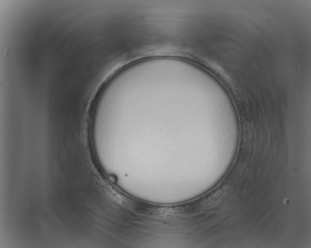 X0000073871463200609071646