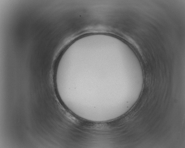 X0000073871464200609071646