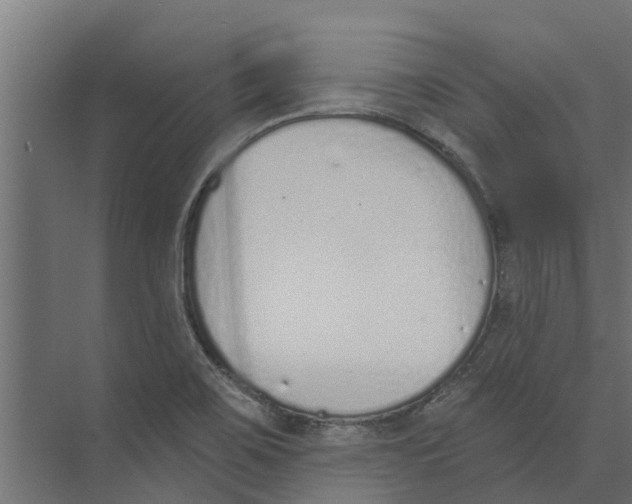 X0000073871467200609071646