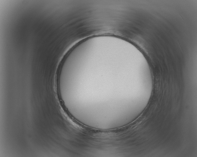 X0000073871468200609071646