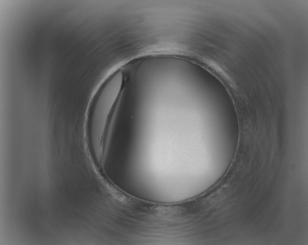 X0000073871469200609071646