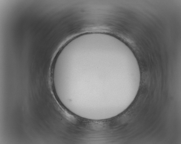 X0000073871470200609071646