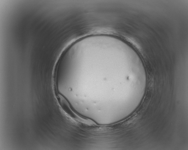 X0000073871471200609071646