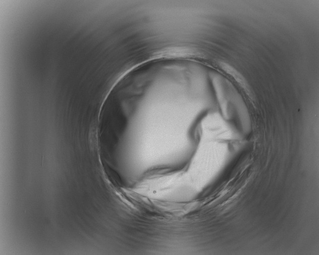 X0000073871473200609071646