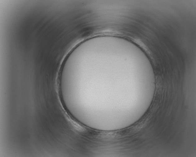 X0000073871474200609071646