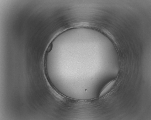 X0000073871475200609071646