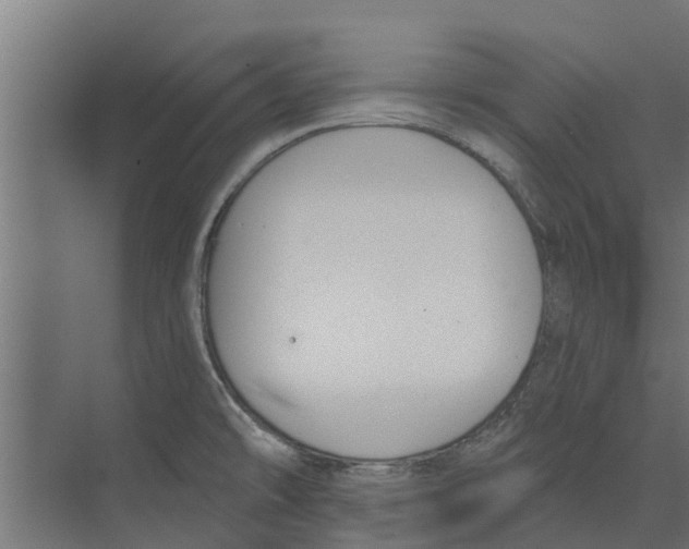 X0000073871478200609071646