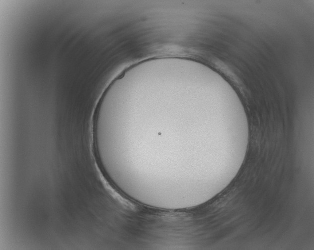 X0000073871479200609071646