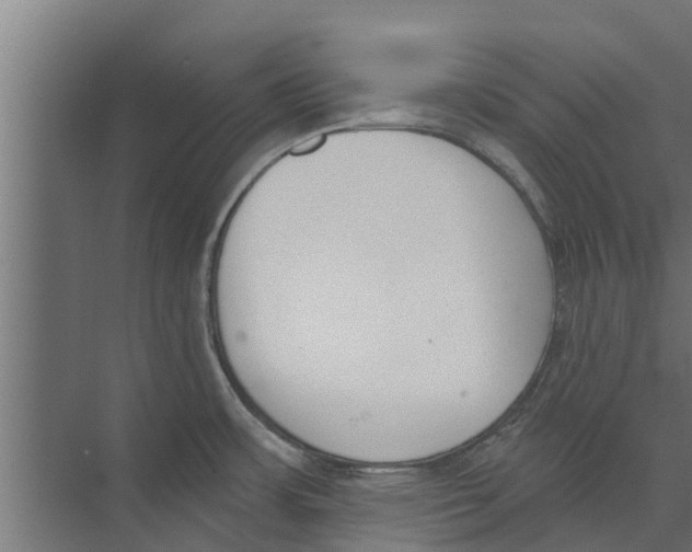 X0000073871483200609071646