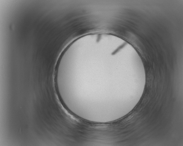 X0000073871484200609071646