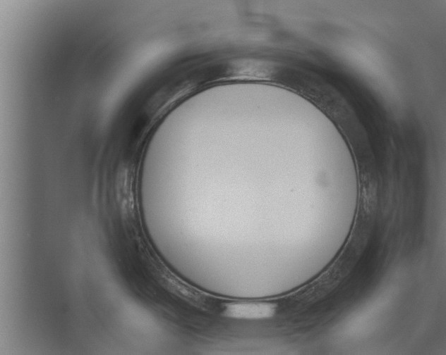 X0000073871487200609071646