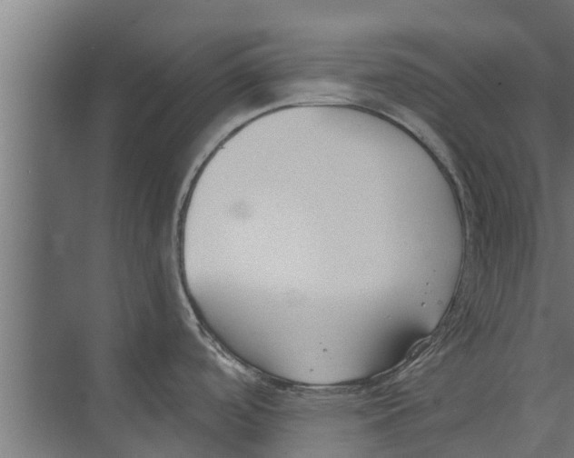 X0000073871488200609071646