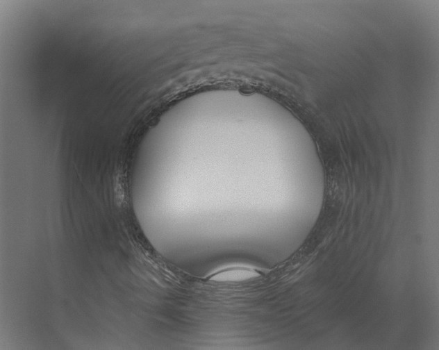 X0000073871490200609071645