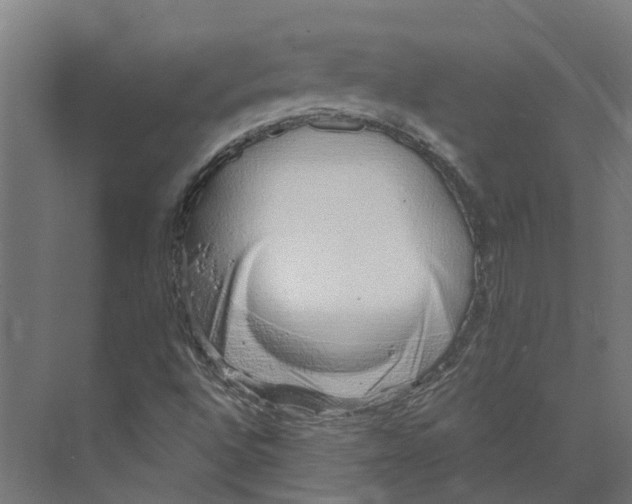 X0000073871496200609071645