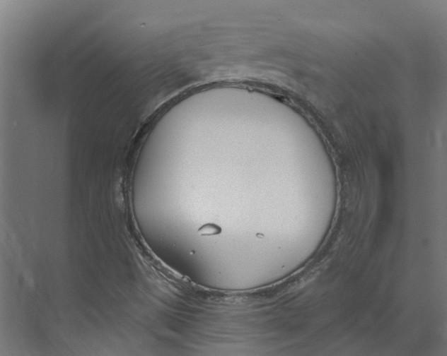 X0000073871497200609071645