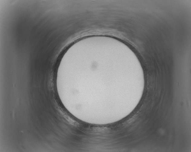 X0000073871498200609071645