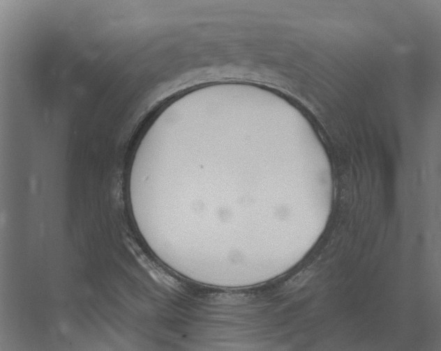 X0000073871499200609071645