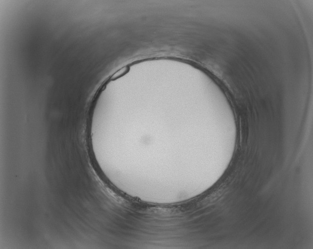 X0000073871500200609071645