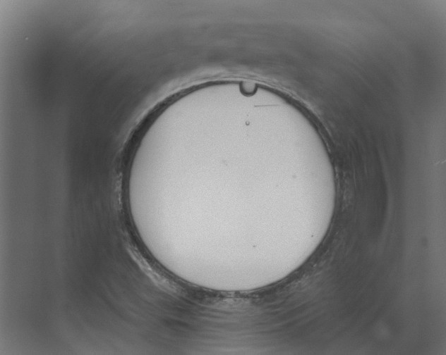 X0000073871503200609071645