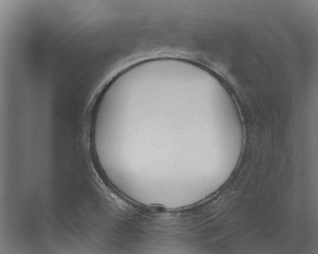 X0000073871504200609071645