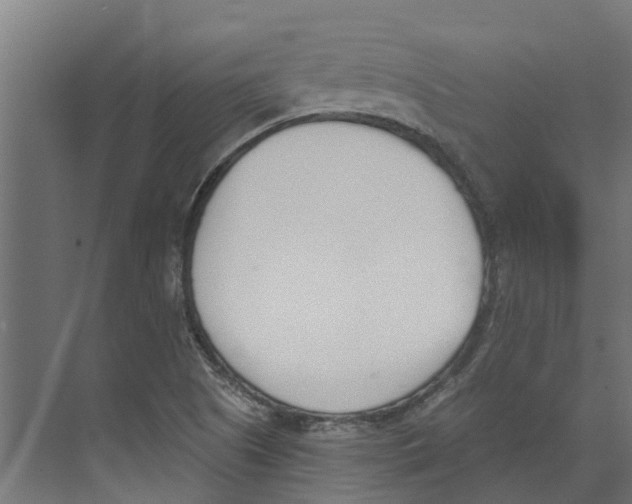 X0000073871505200609071645