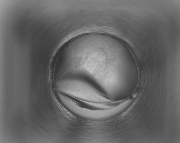 X0000073871506200609071645