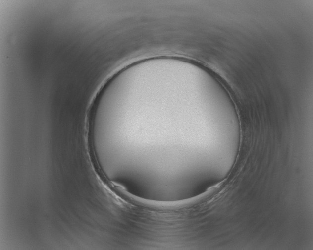 X0000073871508200609071645