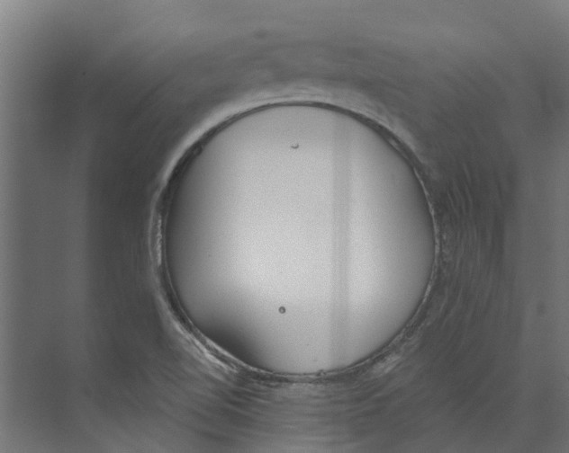 X0000073871510200609071645