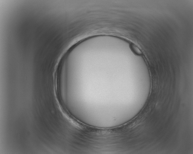 X0000073871515200609071645