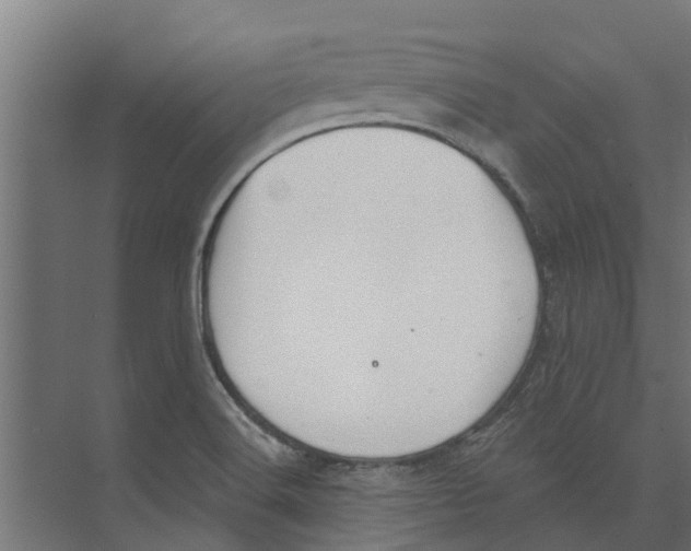 X0000073871516200609071645