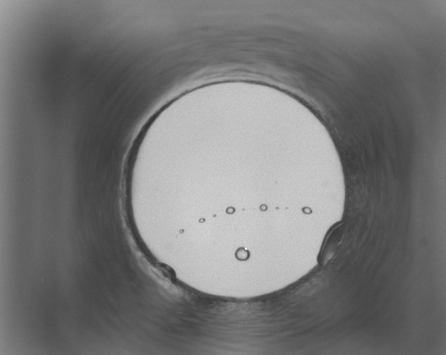 X0000073871518200609071646