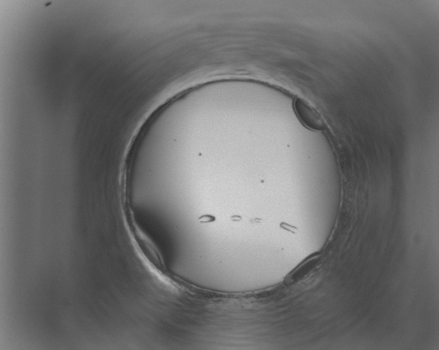 X0000073871519200609071646