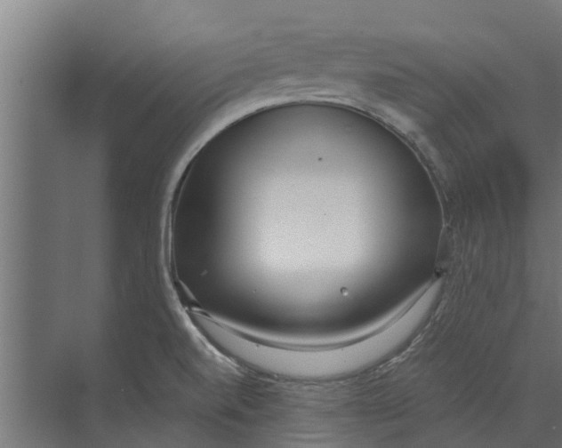 X0000073871520200609071646